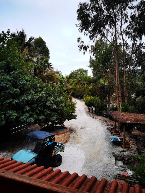 common-driveway-path