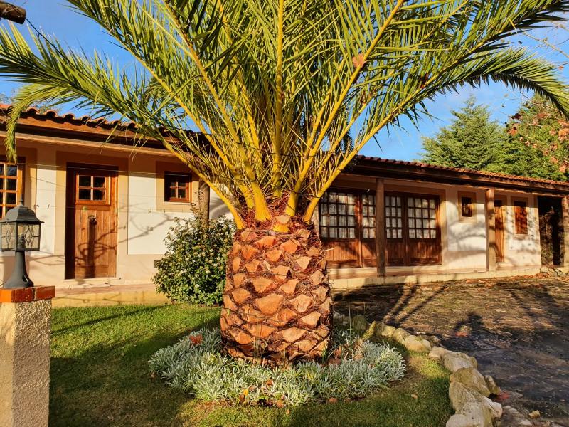common-entrance-palm