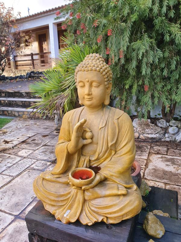 common-garden-buddha