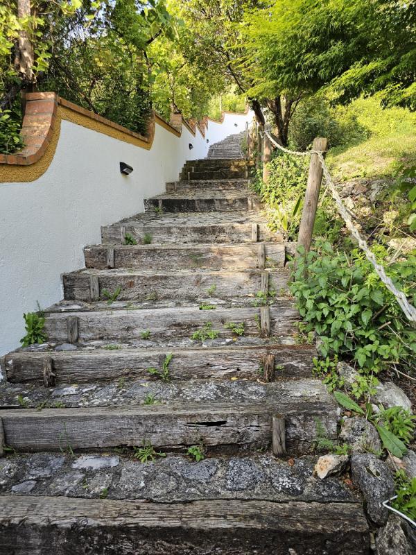 common-garden-steps