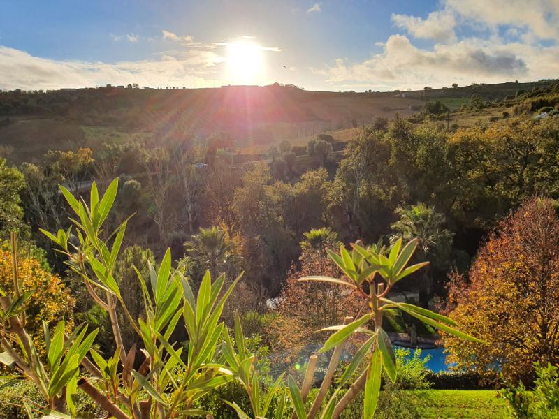 common-landscape-3