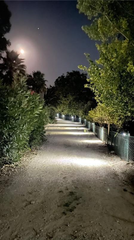 common-night-path