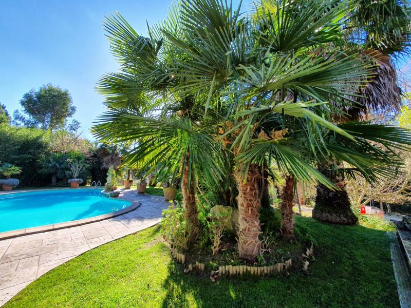 common-pool-palms-1