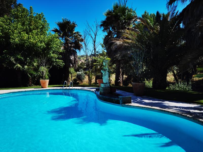 common-pool-view-8