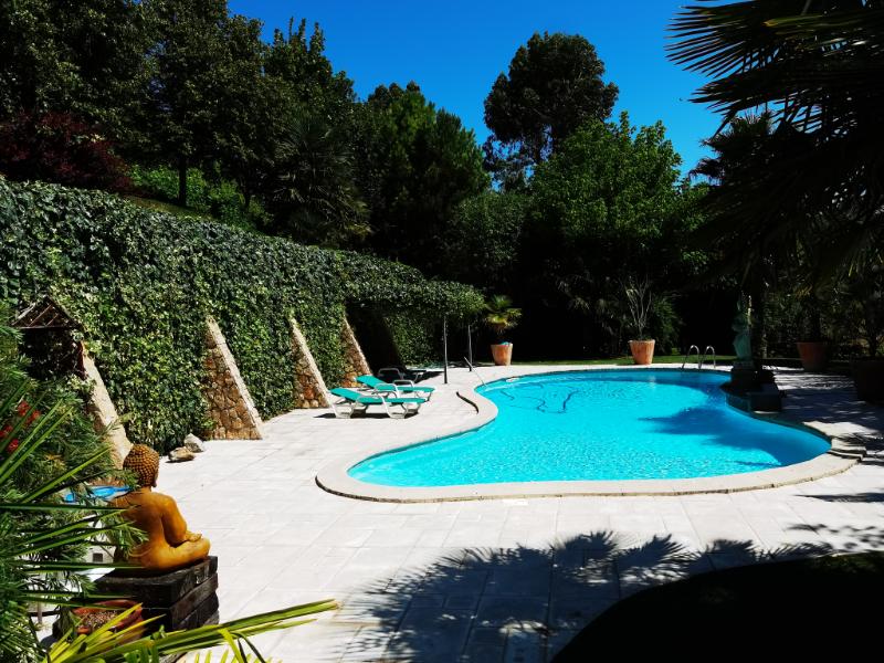common-pool-view-9