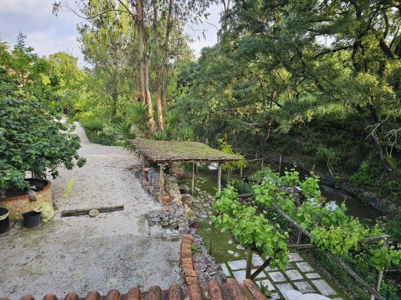 common-river-path